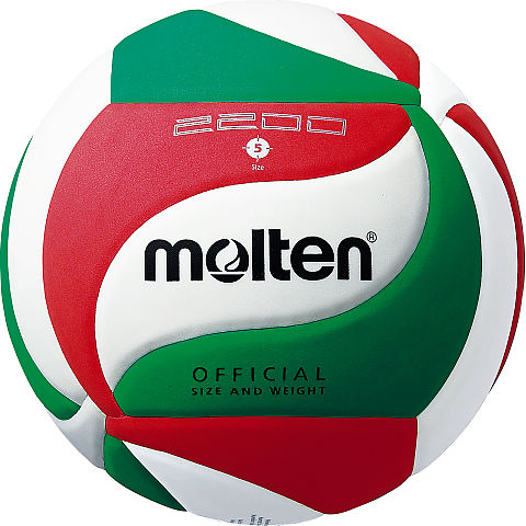 BALON VOLEIBOL V5M 2200