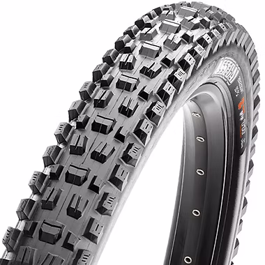 MAXXIS ASSEGAI TR/DH CASING
